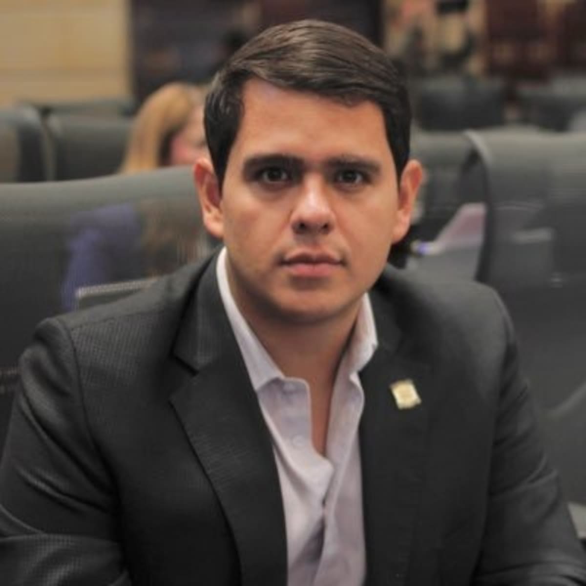 Álvaro Leonel Rueda Caballero, congresista de Santander