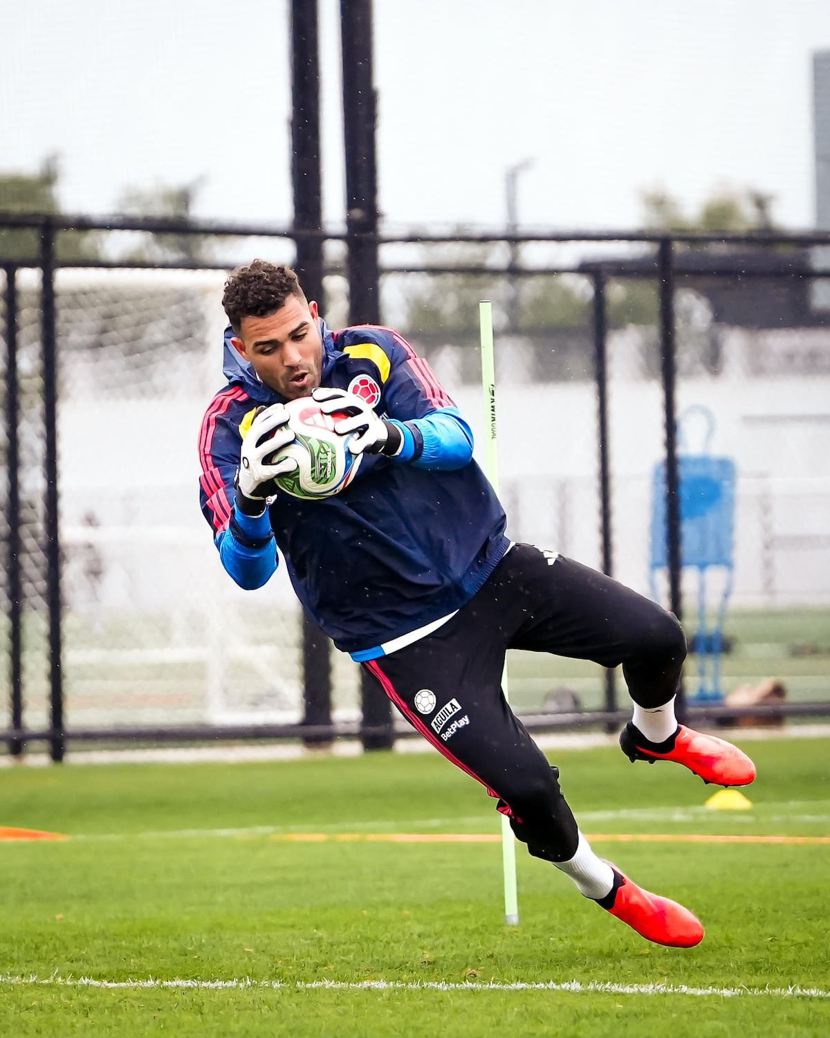 La selección Colombia enfrentará a México en el inicio de un nuevo proceso bajo el mando de Néstor Lorenzo. Foto: FCF.