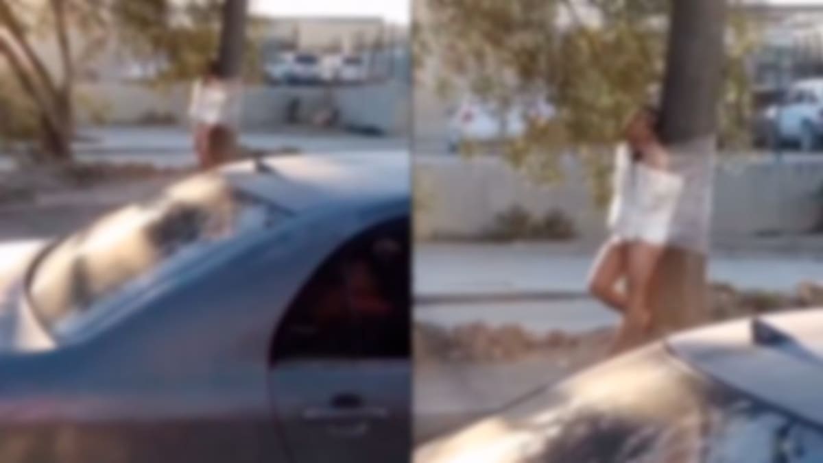Un hombre fue encontrado desnudo y atado a un árbol en la colonia Delicias 1, con una cartulina que decía “por infiel”. Videos del hecho circularon en redes sociales, mientras se desconoce quién lo liberó o quiénes son los responsables.