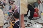 Video viral: anguilas vivas causan conmoción tras escapar en un metro de China