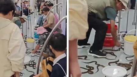Video viral: anguilas vivas causan conmoción tras escapar en un metro de China