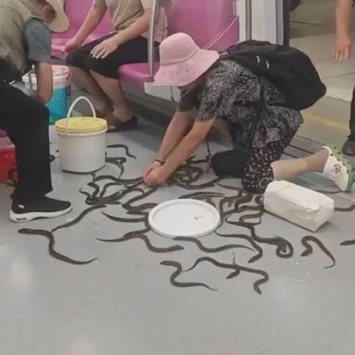 Anguilas vivas generaron conmoción al escaparse en un metro en China ante la sorpresa de los pasajeros.