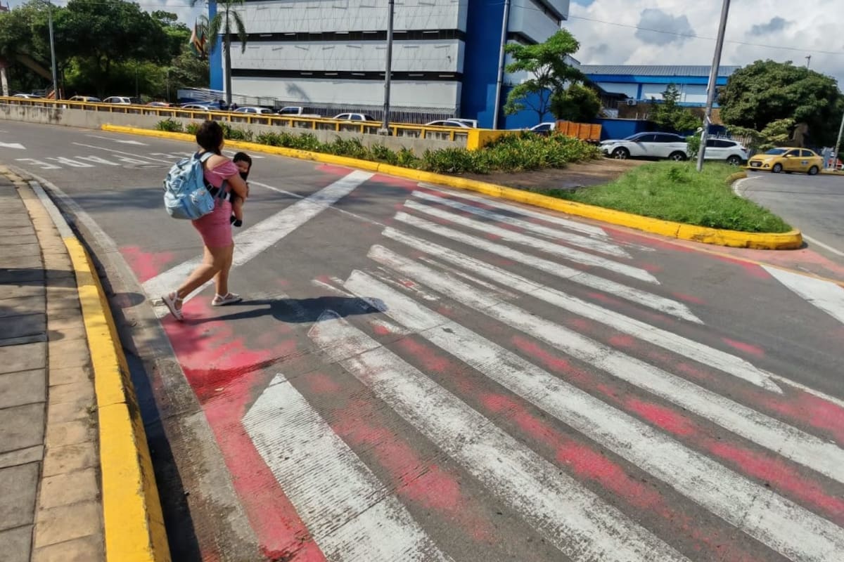 Sobre la glorieta del Intercambiador Vial del Mesón de Los Búcaros se requieren trabajos de mantenimiento en estas cebras rojas. (Foto: Marco Valencia / VANGUARDIA)