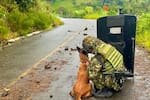 El Ejército destruyó el explosivo en la vía a Ituango tras dos días de operativo y un soldado herido por una trampa