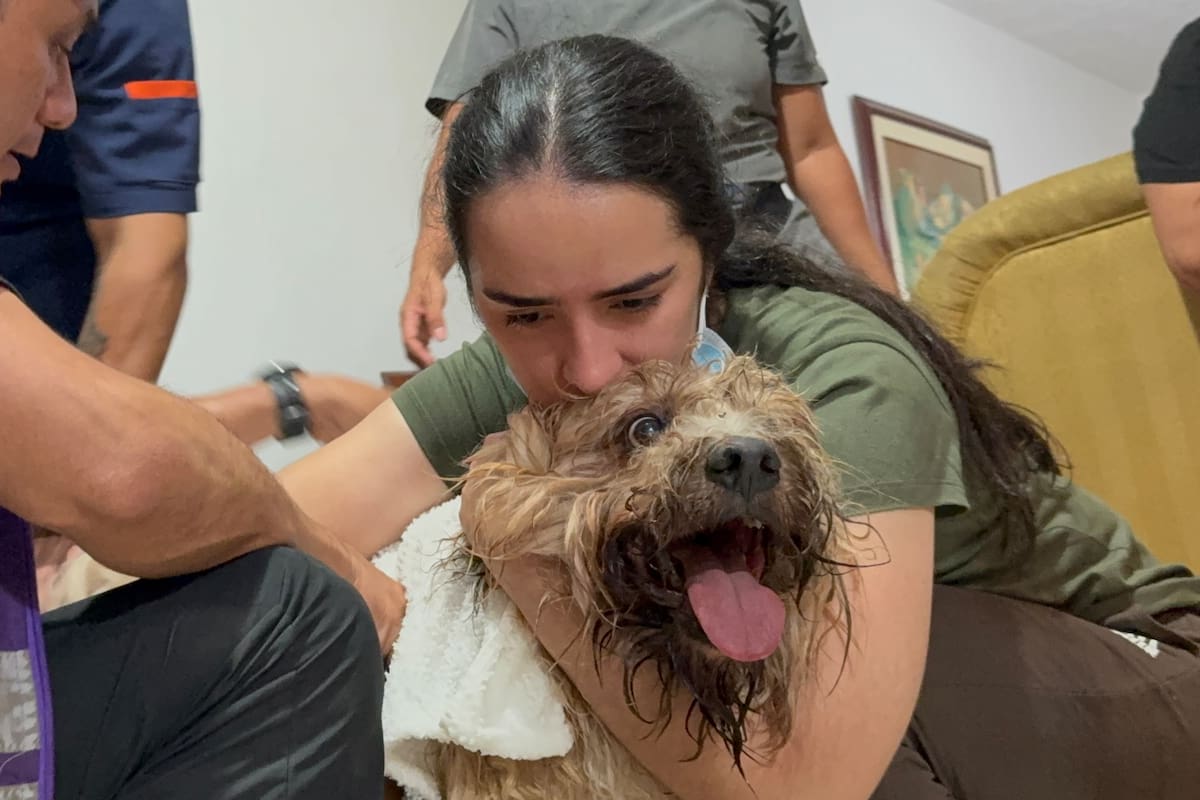 Camila Sepúlveda abraza a su perro Antonio, rescatado con vida a más de nueve metros de profundidad entre los escombros de un edificio de Torres del Limonar, este miércoles en Cali (Colombia). Antonio fue encontrado en una zona despejada que había quedado debajo de la torre de apartamentos colapsada. Los rescatistas escucharon y observaron movimiento hasta que lograron llegar hasta él. EFE/ Mario Baos