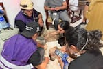 ¿Tiene concentrado, guacales o medicinas? Así puede ayudar a los animales afectados por el terremoto