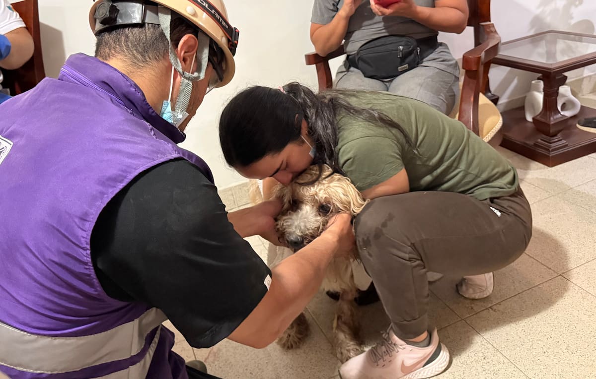 ACOMPAÑA CRÓNICA: COLOMBIA TERREMOTO AME8315. CALI (COLOMBIA), 12/08/2026.- Camila Sepúlveda abraza a su perro Antonio, rescatado con vida a más de nueve metros de profundidad entre los escombros de un edificio de Torres del Limonar, este miércoles en Cali (Colombia). Antonio fue encontrado en una zona despejada que había quedado debajo de la torre de apartamentos colapsada. Los rescatistas escucharon y observaron movimiento hasta que lograron llegar hasta él. EFE/ Mario Baos ACOMPAÑA CRÓNICA: COLOMBIA TERREMOTO