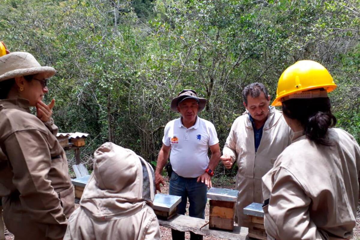 En el apiario, las personas pueden conocer sobre la manera en la que las abejas viven, se organizan y se reproducen . También pueden probar miel, polen y otros elementos que se derivan del trabajo de las mismas.
