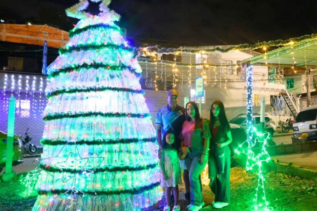 Las botellas utilizadas para la construcción del árbol fueron recolectadas por Luis Antonio Bueno gracias a donativos de grupos de adulto mayor, así como aportes de almacenes y ferreterías del sector. / Fotografía por Felipe Jaimes Lagos