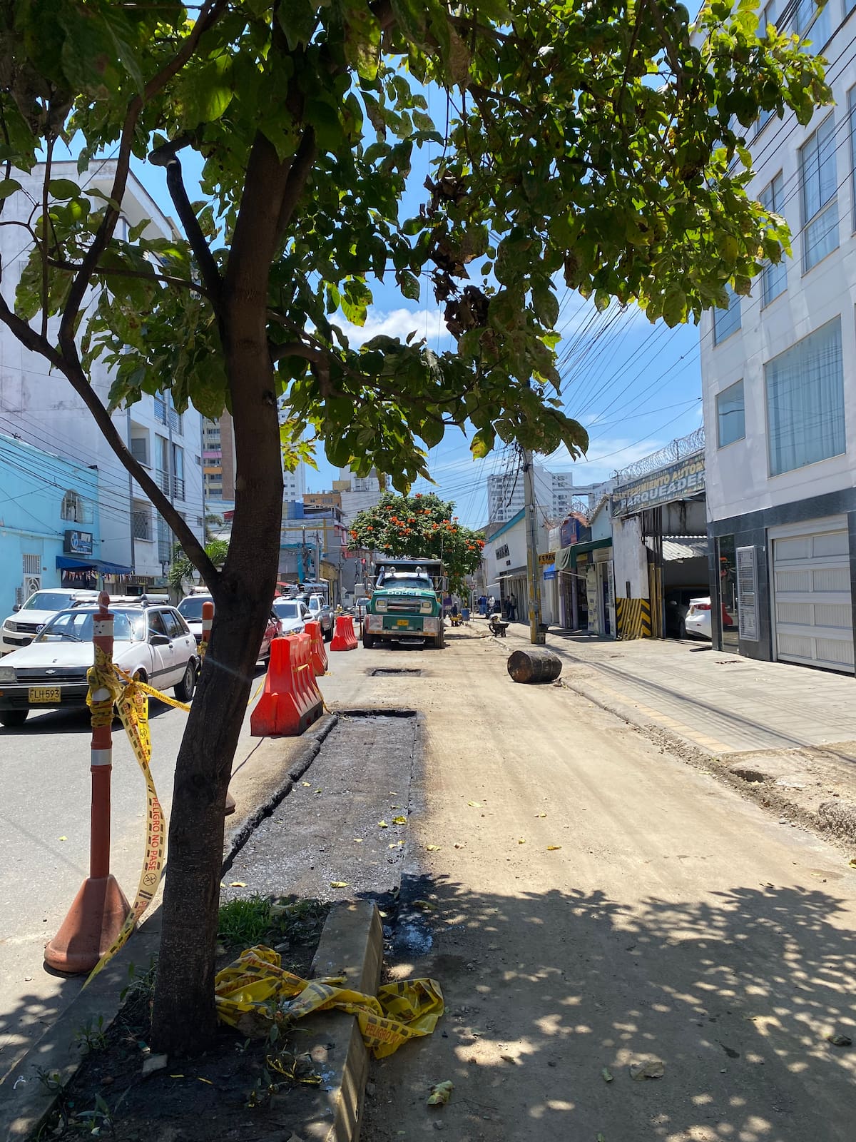 Los separadores de la ciclorruta de la carrera 21, que también funcionaban como jardineras, ya fueron retirados. La tala de los árboles del corredor comenzaría entre finales de octubre y comienzos de noviembre. Foto: Arley Sánchez/VANGUARDIA