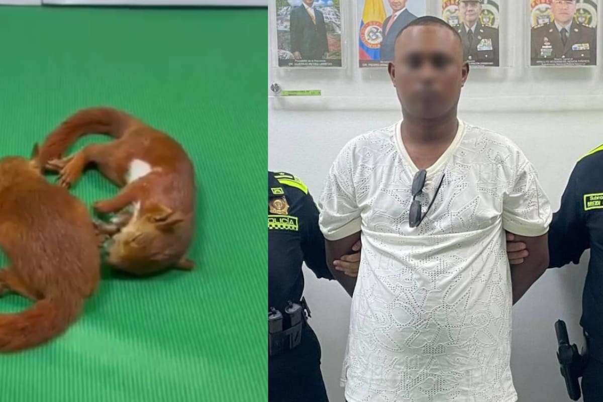 El hombre fue dejado a disposición de la Fiscalía General de la Nación