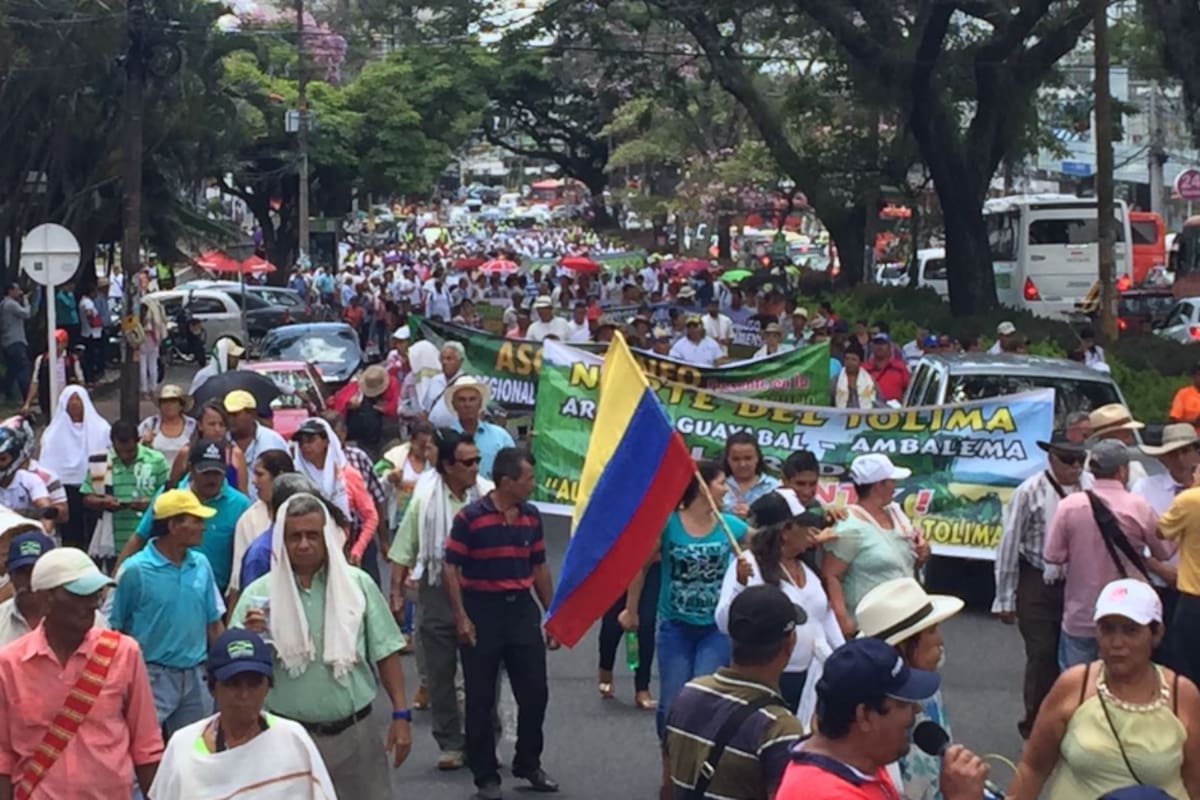 Conozca las razones por las que los arroceros del país convocaron a protestas | Suministrada