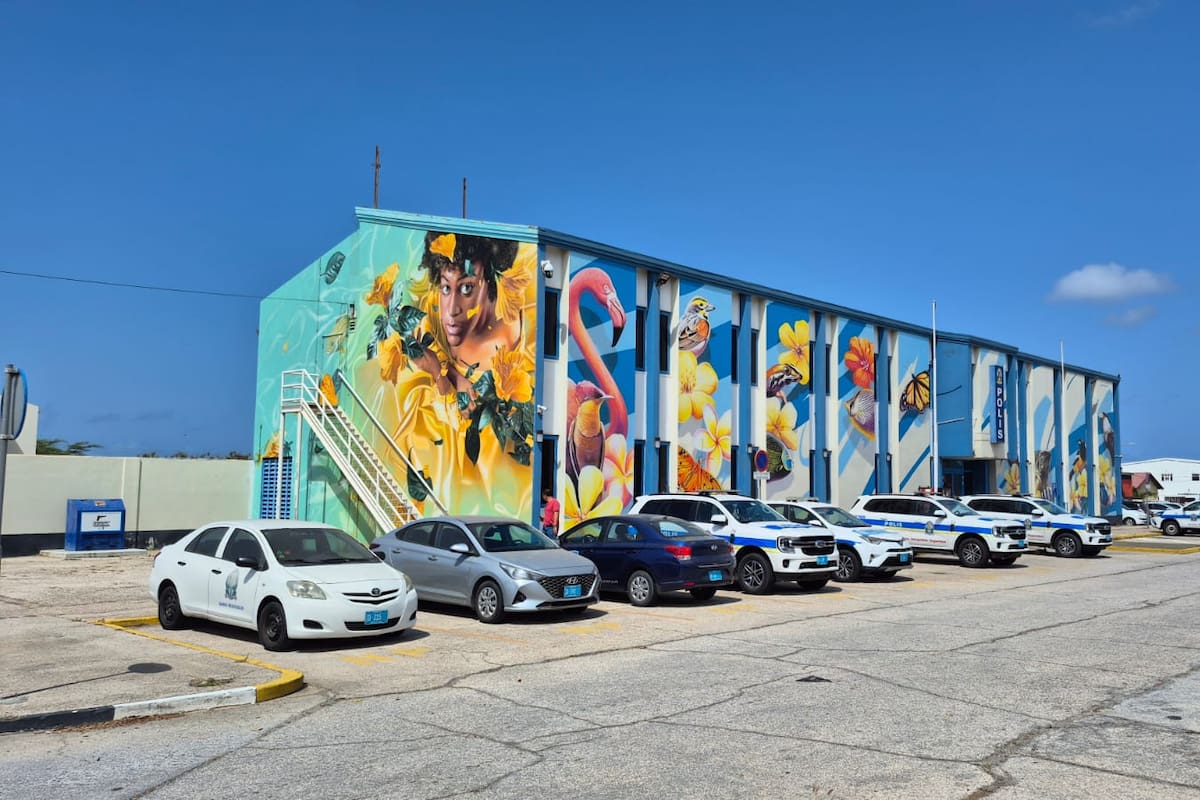 Así se ve la estación de Policía en San Nicolás. Uno de los murales, el de la izquierda con la escalera, fue realizado por Studio Giftig, considerado por muchos los mejores muralistas del mundo (Juan Carlos Chio / VANGUARDIA).