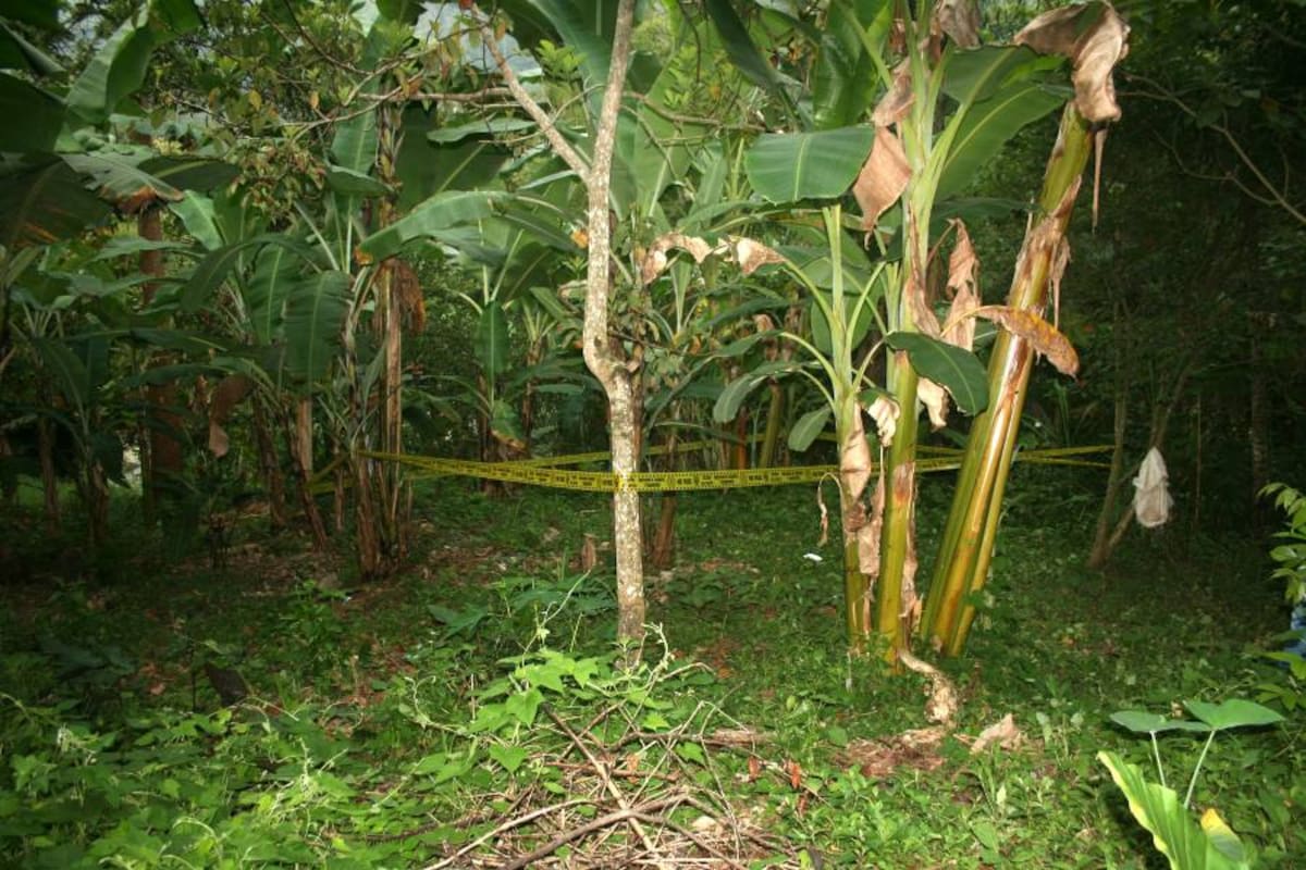 El ataque ocurrió en una zona enmontada del barrio Los Estoraques, en el suroccidente de Bucaramanga.
Fotografía: Archivo/VANGUARDIA.