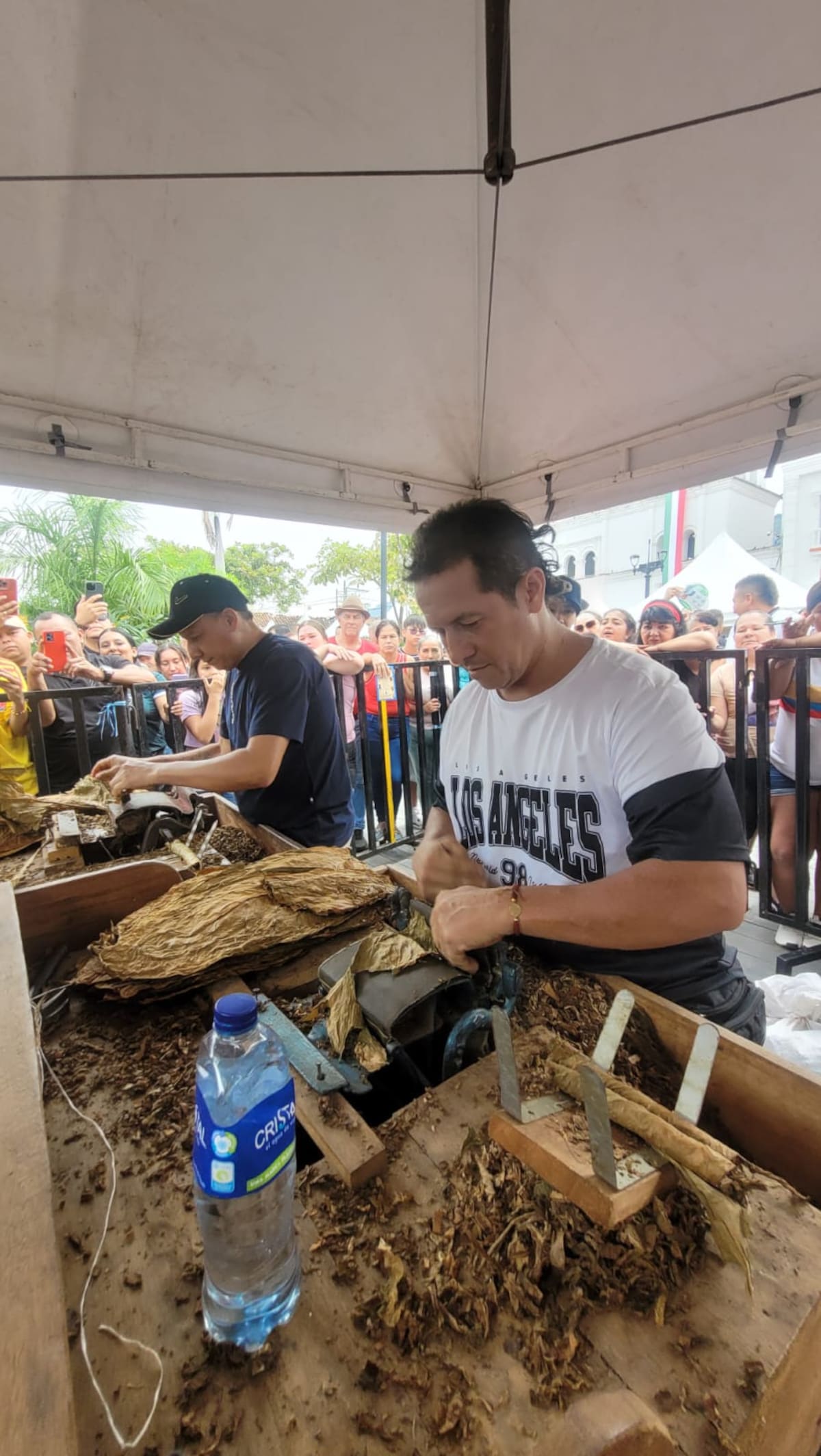 Así celebró Piedecuesta sus 250 años: campesinos compitieron armando tabacos. Foto suministrada/VANGUARDIA