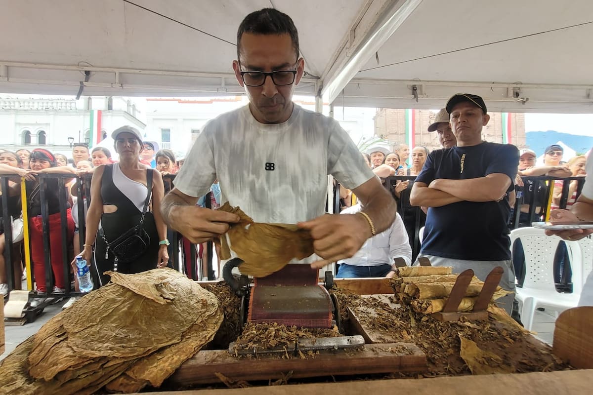 Así celebró Piedecuesta sus 250 años: campesinos compitieron armando tabacos. Foto suministrada/VANGUARDIA