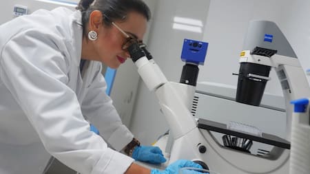 Así usan inteligencia artificial para la investigación en Santander