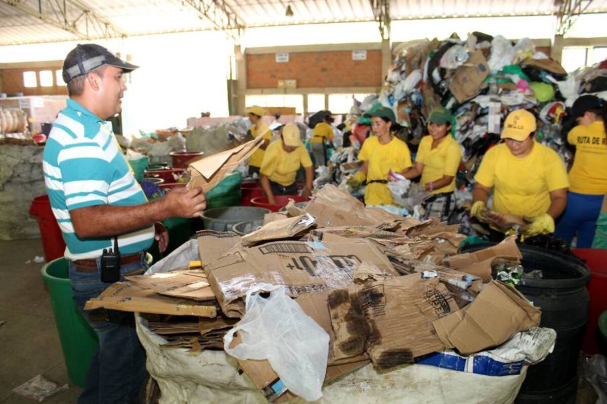 El material que se recoja en Provenza y la Comuna 11 con la ruta del reciclaje será llevado al centro de acopio de El Carrasco. En esos barrios los resiudos orgánicos se recogerán tres veces a la semana. (Foto: Archivo / VANGUARDIA LIBERAL)