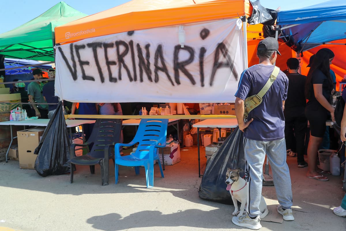 AME6815. LA GUAIRA (VENEZUELA), 02/07/2026.- Fotografía que muestra una carpa de atención veterinaria este jueves, en La Guaira (Venezuela). EFE/ Raúl Martínez