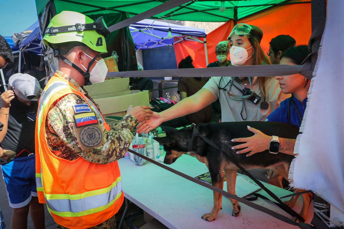AME6817. LA GUAIRA (VENEZUELA), 02/07/2026.- Médicas veterinarias hablan con un Integrante del Ejercito del Salvador mientras brindan asistencia a un perro en una carpa de atención veterinaria este jueves, en La Guaira (Venezuela). EFE/ Raúl Martínez