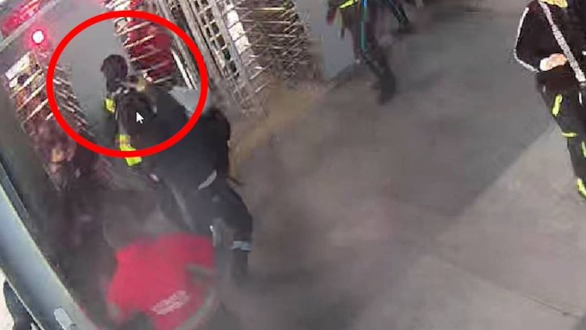 Un guarda de Transmilenio fue atacado con un martillazo en la cabeza por un hombre que quería colarse. Todo quedó en las cámaras de seguridad.