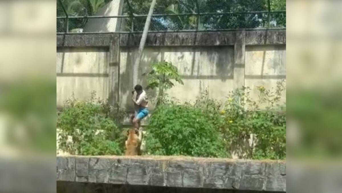 Emisterioso ingreso de un joven que terminó en tragedia en un zoológico de Brasil