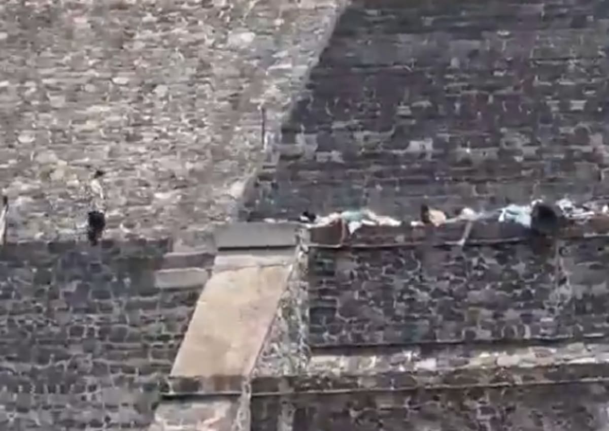 Foto: captura de pantalla.