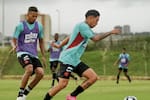 Definida la nómina de convocados de la selección Colombia