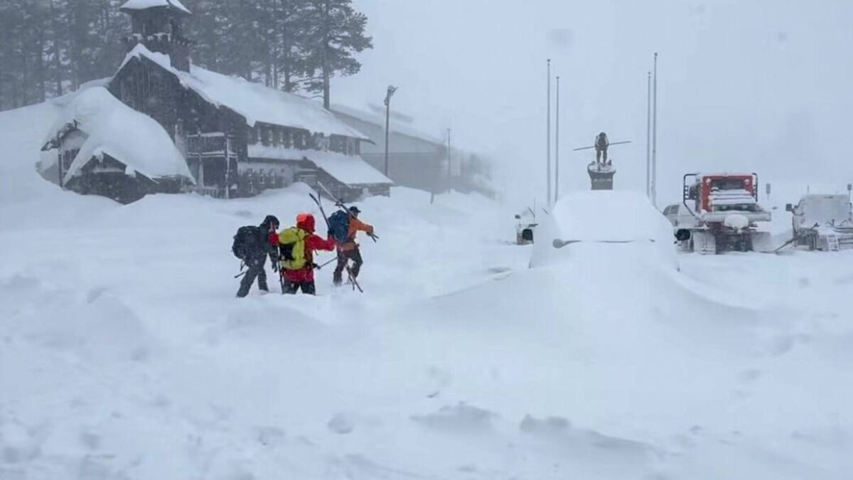 Las autoridades de Nevada City, en California, confirmaron ocho muertos, un desaparecido y seis sobrevivientes por una avalancha ocurrida ayer, en la zona de Castle Peak.