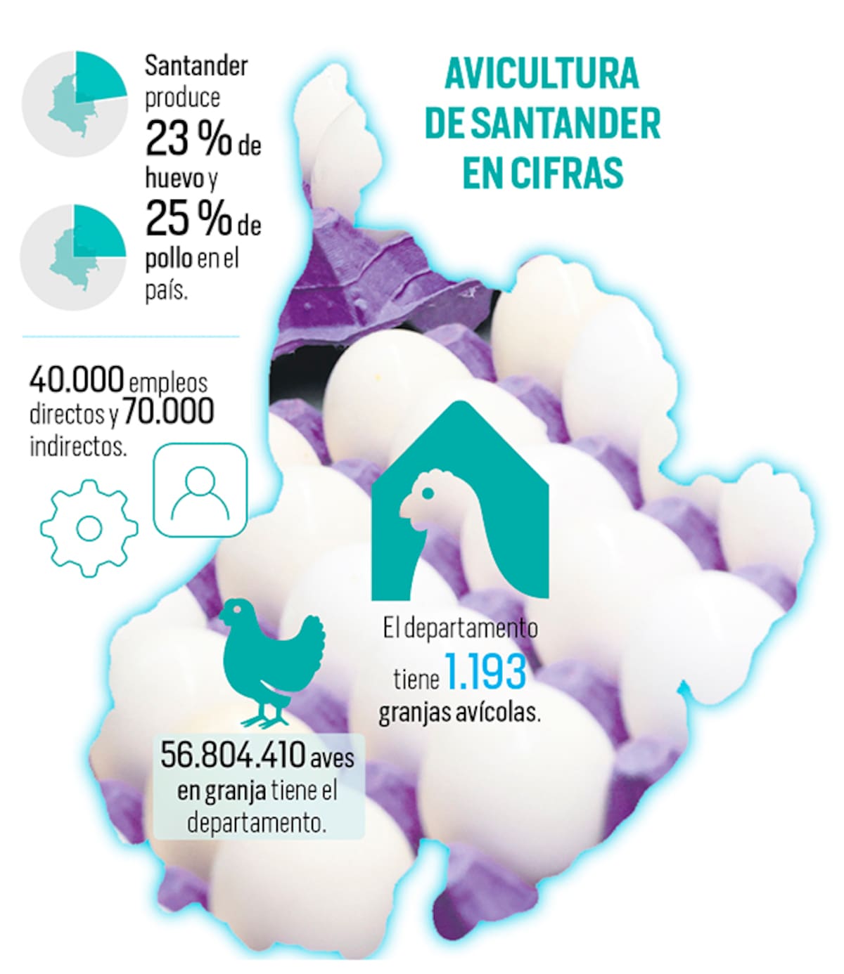 Avicultura de Santander logró crecimiento en 2025: ¿qué pasará este año? | Fuente Fenavi Santander | Gráfico Nelson Caviedes
