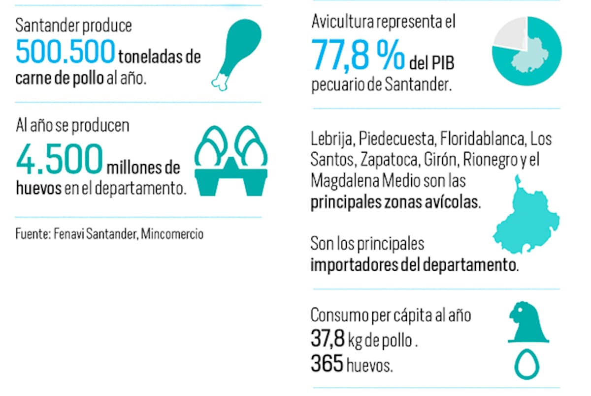 Avicultura de Santander logró crecimiento en 2025: ¿qué pasará este año? | Fuente Fenavi Santander | Gráfico Nelson Caviedes