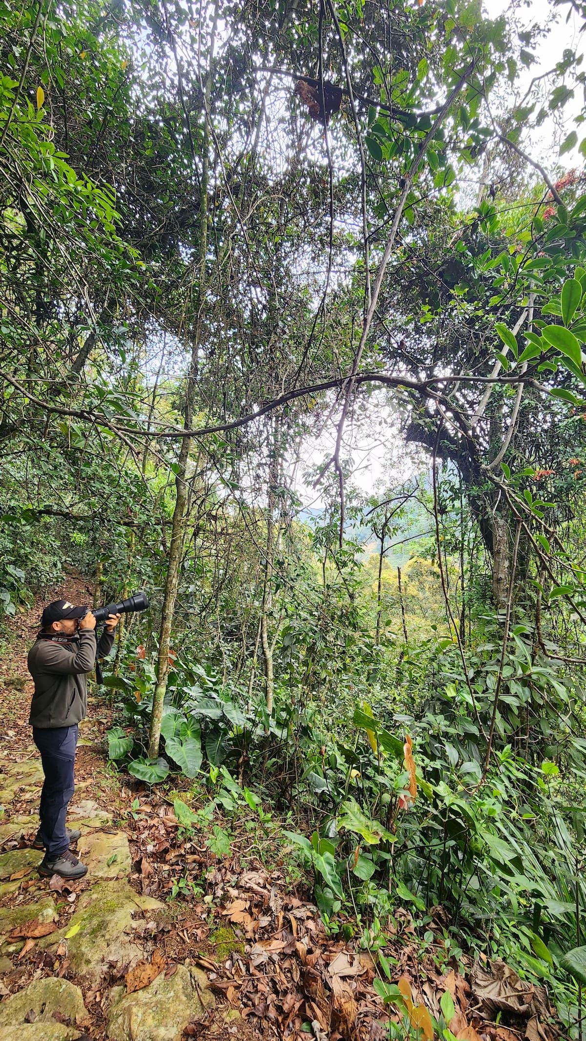 El October Big Day se realizará en estos San Gil, Encino y Charalá el 12 de octubre de 2024. Foto: Suministrada / VANGUARDIA