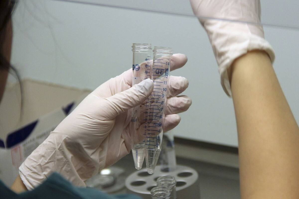 Banco de esperma europeo bajo investigación por distribuir semen con gen cancerígeno.
Foto: A.P.I.