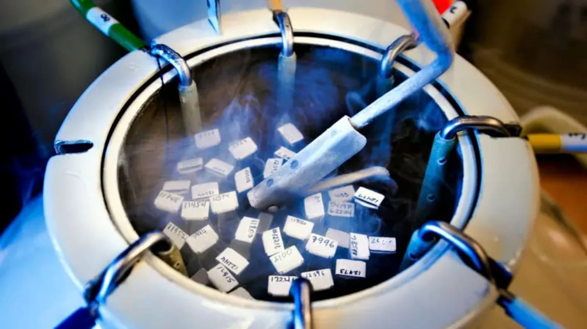 El Ministerio de Sanidad de Países Bajos conocía desde 2017 que el hombre era un donante habitual de esperma, de acuerdo con información de medios locales.