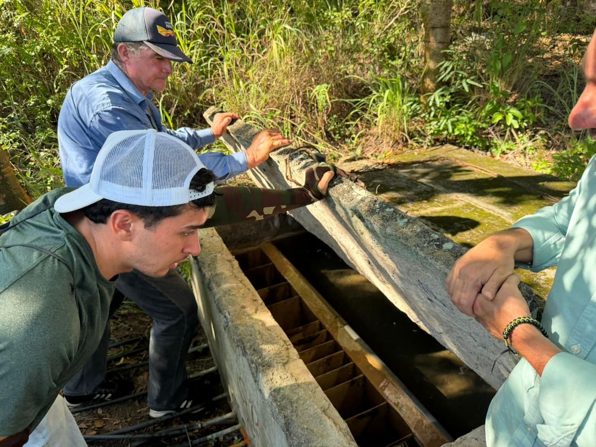 La revisión de las infraestructuras de agua es parte fundamental del proceso.