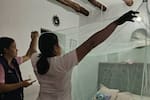 Barichara intensifica acciones de prevención para evitar aumento en casos de dengue