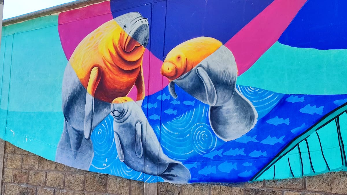 Barrancabermeja se pinta de arte: una apuesta por la memoria y su gente | Jaime Arnache/VANGUARDIA