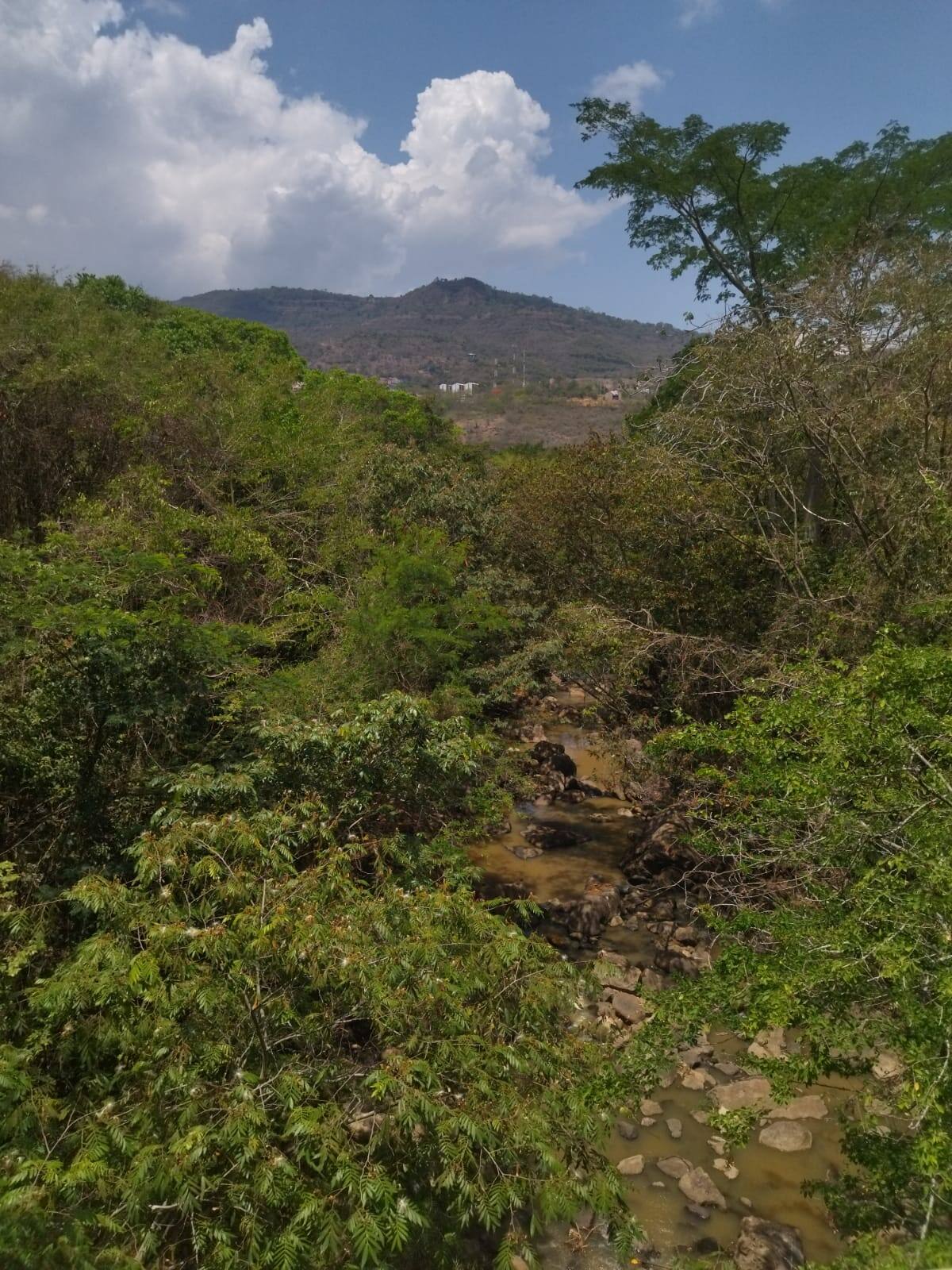 Juez ordena construcción de alcantarillado en el margen de la quebrada Curití en San Gil.