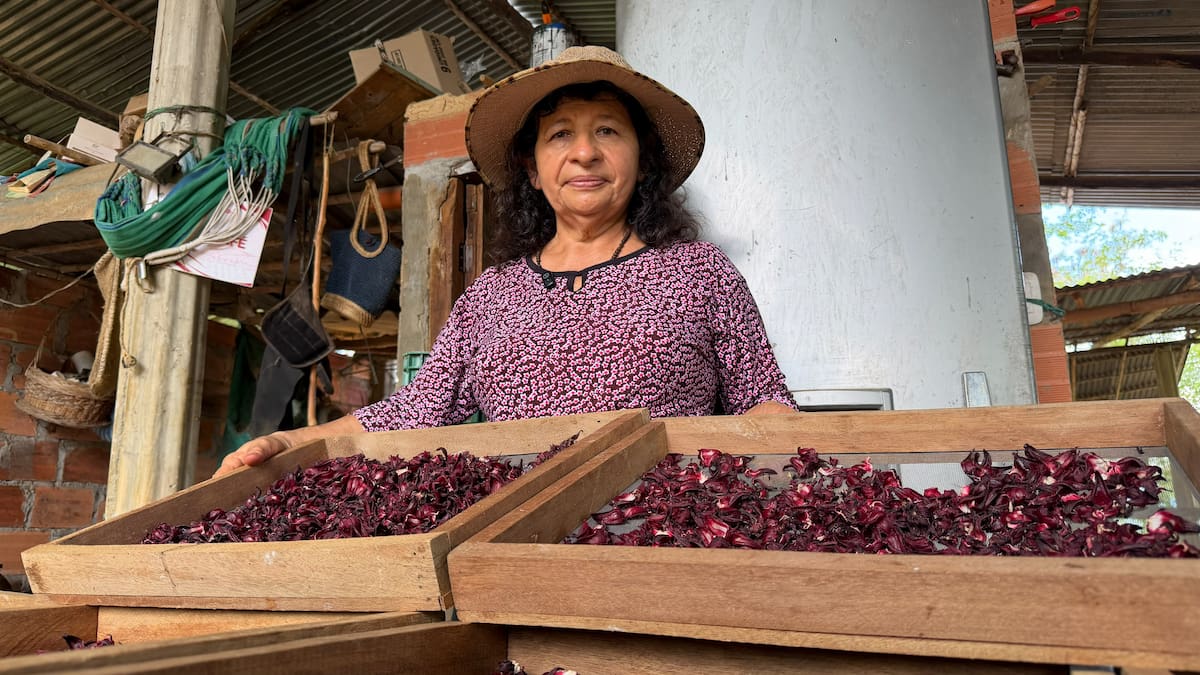 Socorro Buenahora junto a los bastidores de secado de flor de Jamaica en su casa de la vereda San José del Llano, Barichara. Foto: Juliana Sarmiento // VANGUARDIA
