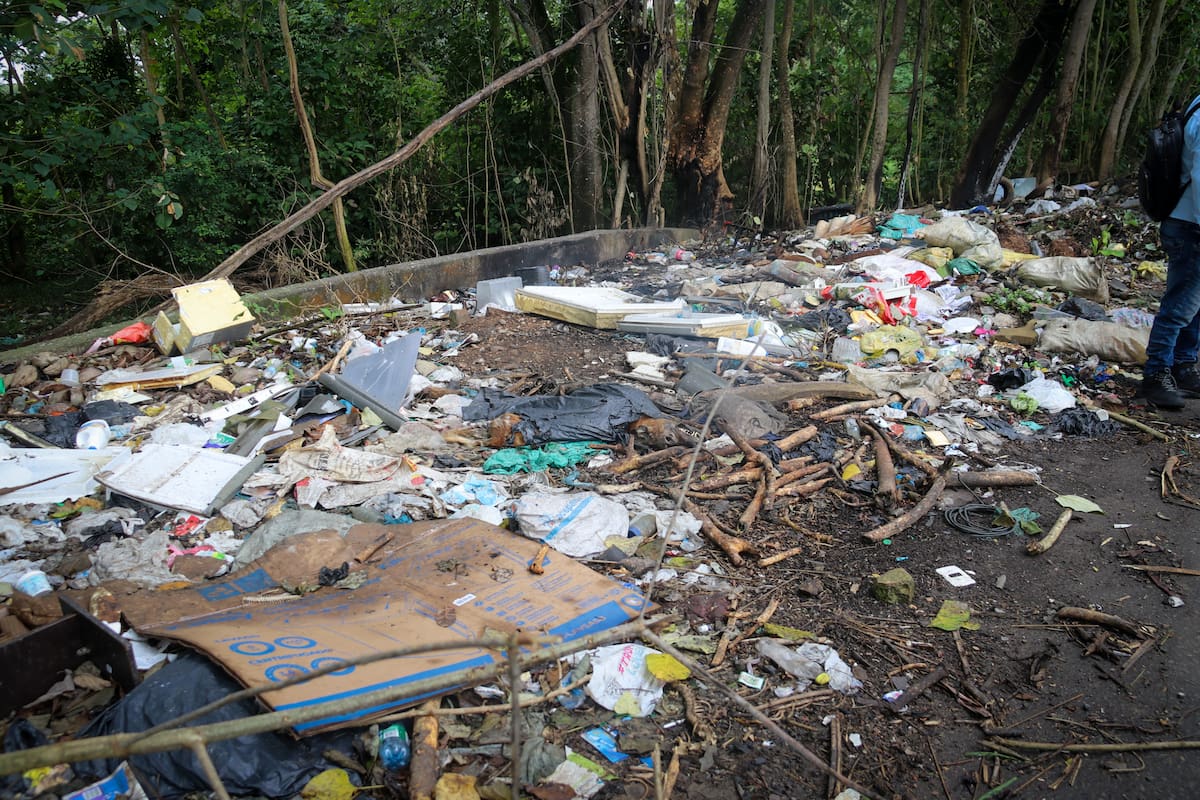 Pie de foto: Durante la jornada de limpieza en la vía hacia el aeropuerto Yariguíes fueron retiradas más de 10 toneladas de residuos sólidos.
Suministrada/Vanguardia