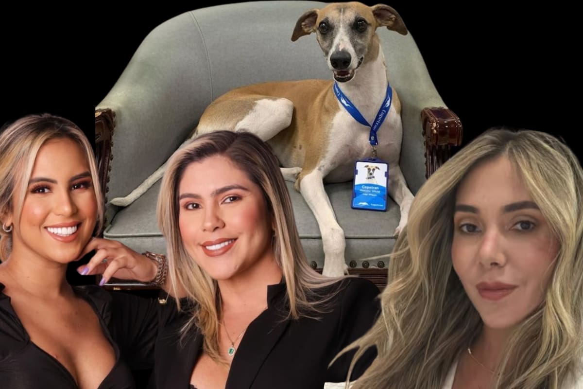 Betsy Liliana, exesposa de Diomedes Díaz, lanzó duros insultos y comparó a Dayana Jaimes con “la perra de Copetrán” en un audio viral.