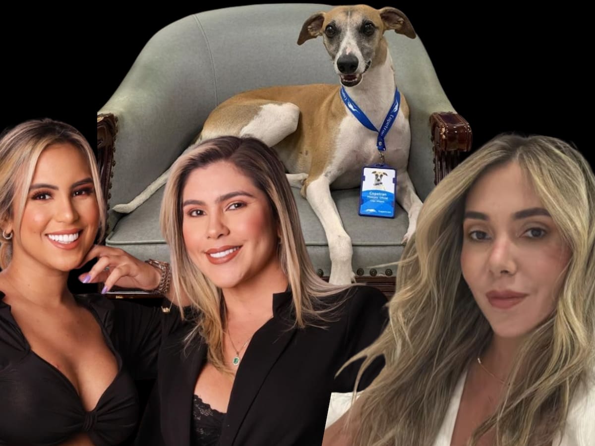 Betsy Liliana, exesposa de Diomedes Díaz, lanzó duros insultos y comparó a Dayana Jaimes con “la perra de Copetrán” en un audio viral.