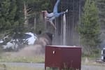 Bisonte embistió a turista en Yellowstone y lo dejó gravemente herido: todo quedó en video
