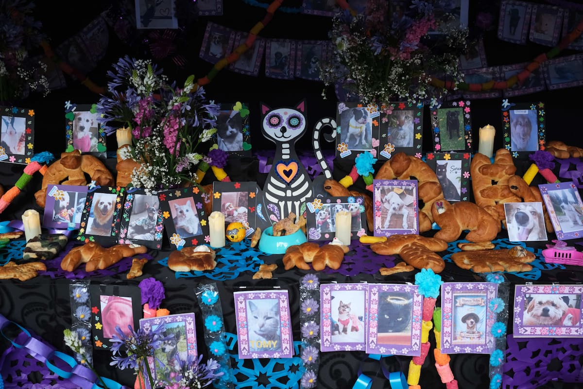 Fotografía que muestra un altar con panes en forma de animales durante el 'Día de los Muertos de las Mascotas', una costumbre de México que honra la memoria de estos animales domésticos y que fue adoptada en La Paz al estilo andino, este martes en La Paz (Bolivia). EFE/Luis Gandarillas