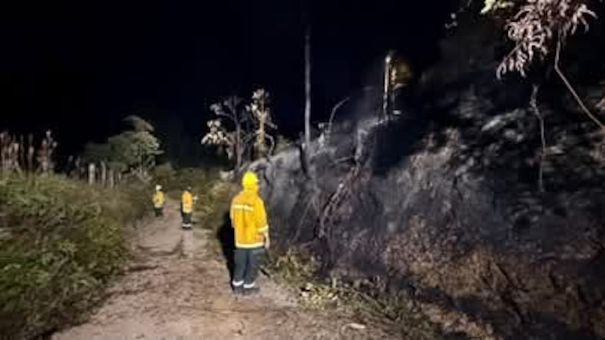 El equipo de bomberos de Charalá ha tenido que atender cuatro conatos de incendios forestales en las últimas semanas.