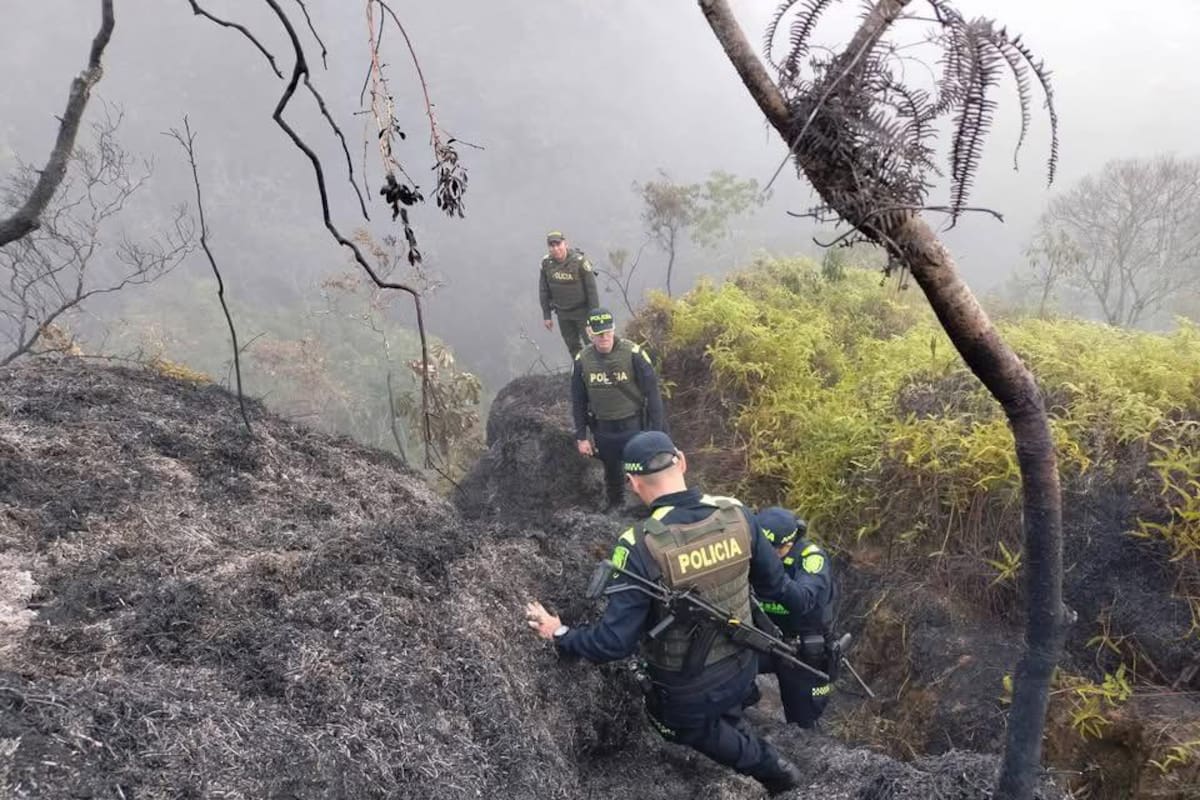 Los incendios forestales es una de las principales preocupaciones para la temporada de verano.