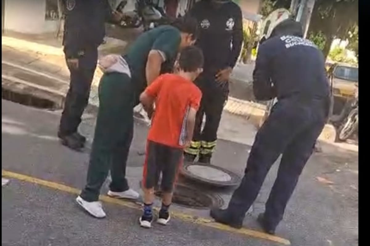 Bomberos rescataron a ‘Luna’, una gata que cayó a una alcantarilla tras ser arrollada en Bucaramanga