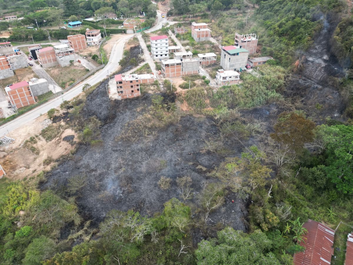 Bomberos trabajaron para evitar que el fuego alcanzara las viviendas cercanas.
