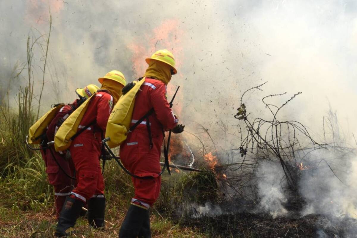 El Cuerpo de Bomberos Voluntarios ya tuvo que apagar el primer incendio forestal de este mes. Se presentó por quema de manto vegetal en la vereda Campo Gala, en El Llanito. (Foto: Édgar Pernett Sotomayor/VANGUARDIA LIBERAL)