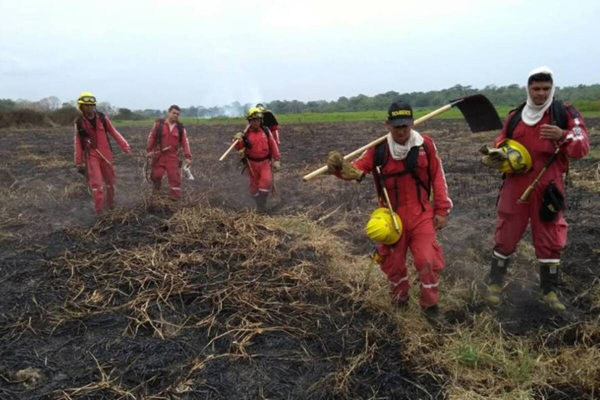 El incendio habría comenzado el viernes 8 de febrero y fue controlado el 14. Suministrada / VANGUARDIA LIBERAL